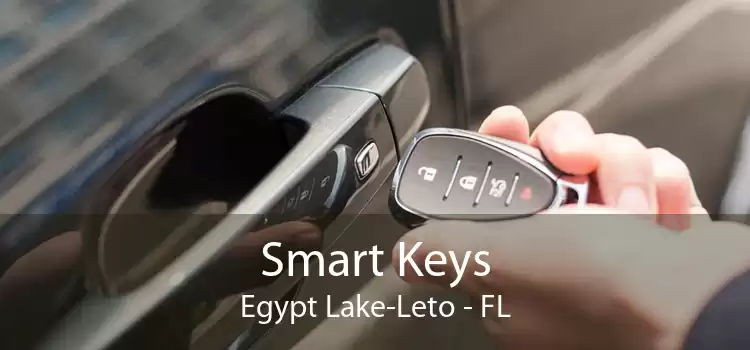Smart Keys Egypt Lake-Leto - FL