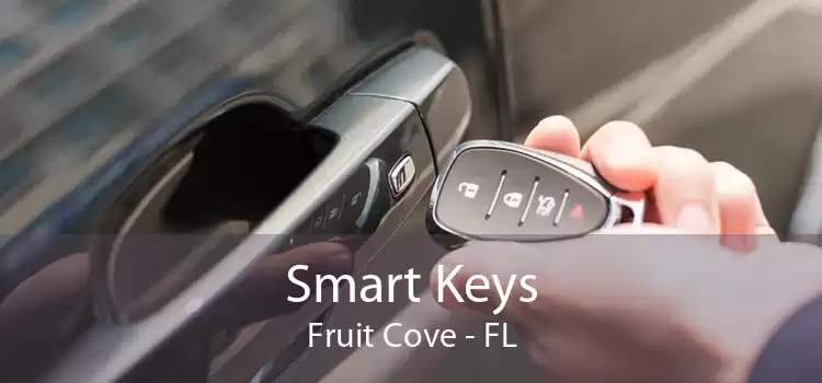 Smart Keys Fruit Cove - FL