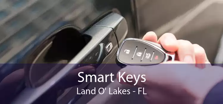 Smart Keys Land O' Lakes - FL