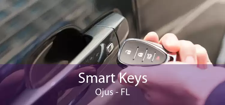Smart Keys Ojus - FL
