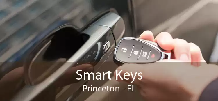 Smart Keys Princeton - FL