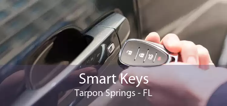Smart Keys Tarpon Springs - FL
