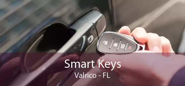Smart Keys Valrico - FL