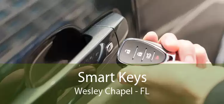 Smart Keys Wesley Chapel - FL