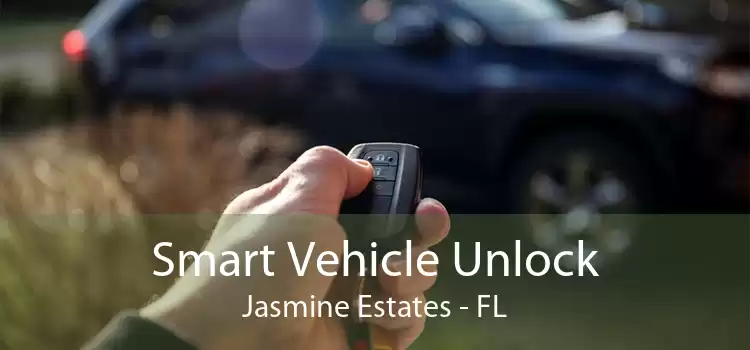Smart Vehicle Unlock Jasmine Estates - FL