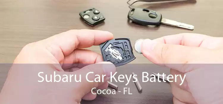 Subaru Car Keys Battery Cocoa - FL