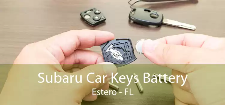 Subaru Car Keys Battery Estero - FL