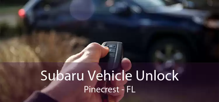 Subaru Vehicle Unlock Pinecrest - FL