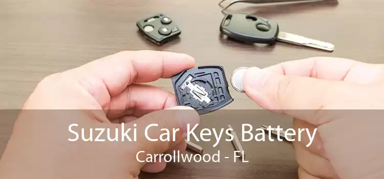 Suzuki Car Keys Battery Carrollwood - FL