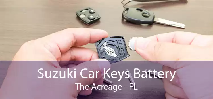 Suzuki Car Keys Battery The Acreage - FL