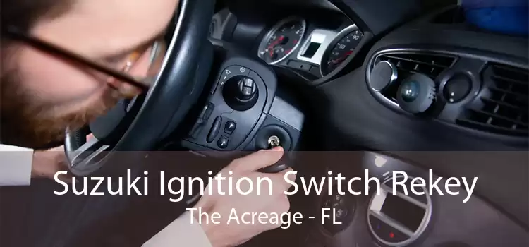 Suzuki Ignition Switch Rekey The Acreage - FL
