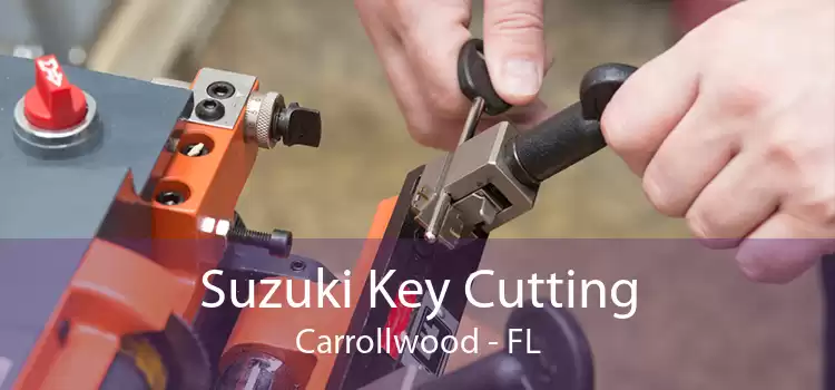 Suzuki Key Cutting Carrollwood - FL