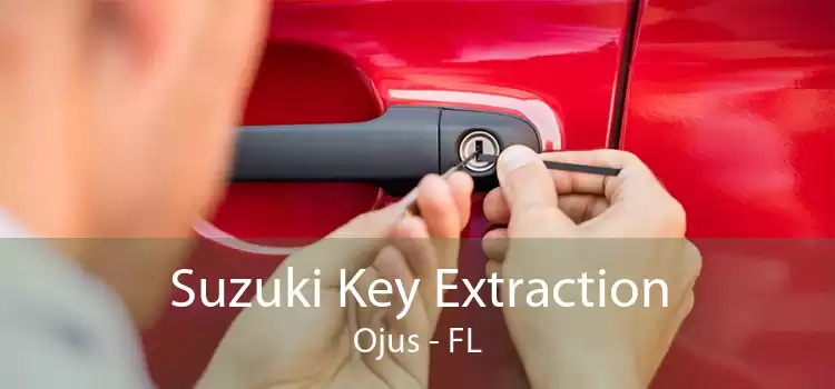 Suzuki Key Extraction Ojus - FL