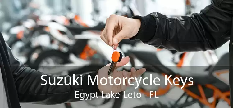 Suzuki Motorcycle Keys Egypt Lake-Leto - FL