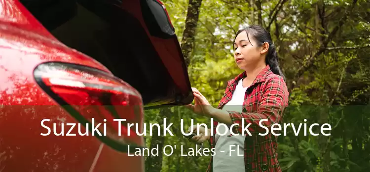 Suzuki Trunk Unlock Service Land O' Lakes - FL