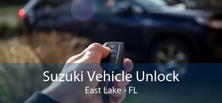 Suzuki Vehicle Unlock East Lake - FL
