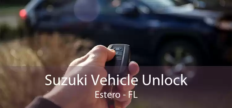 Suzuki Vehicle Unlock Estero - FL