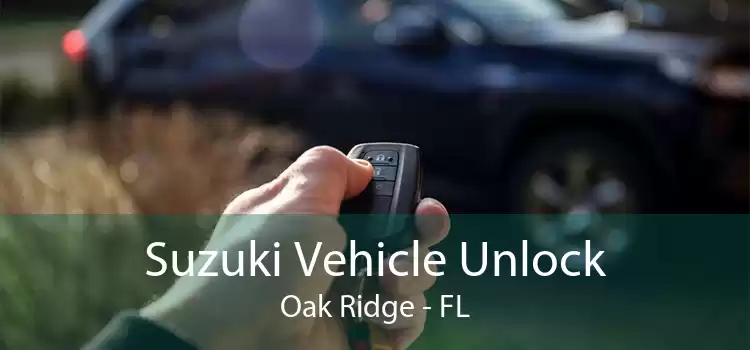 Suzuki Vehicle Unlock Oak Ridge - FL