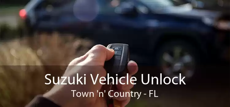 Suzuki Vehicle Unlock Town 'n' Country - FL