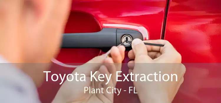 Toyota Key Extraction Plant City - FL
