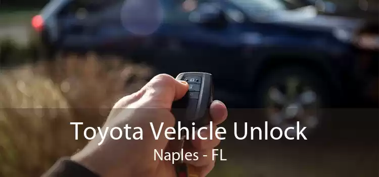 Toyota Vehicle Unlock Naples - FL
