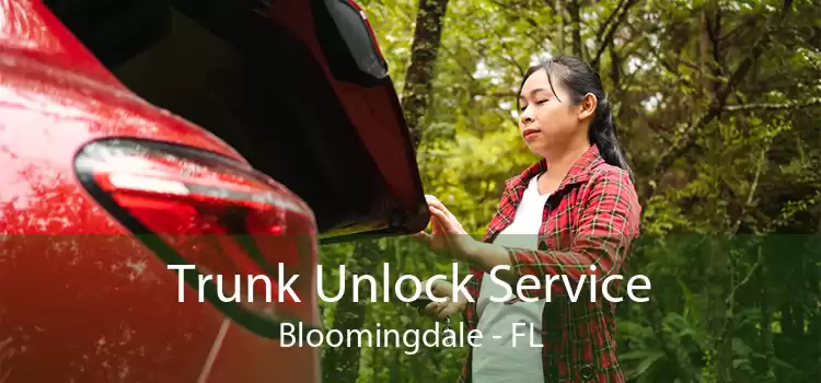 Trunk Unlock Service Bloomingdale - FL