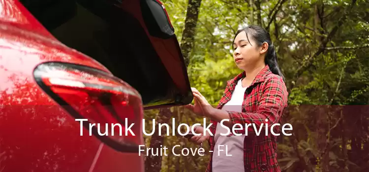 Trunk Unlock Service Fruit Cove - FL