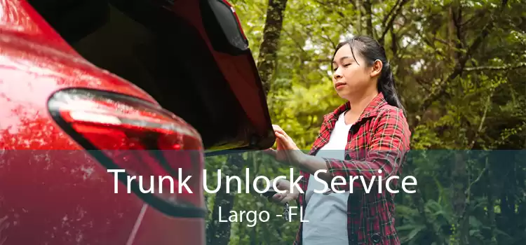 Trunk Unlock Service Largo - FL