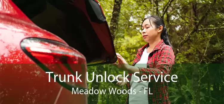 Trunk Unlock Service Meadow Woods - FL