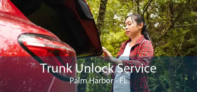 Trunk Unlock Service Palm Harbor - FL