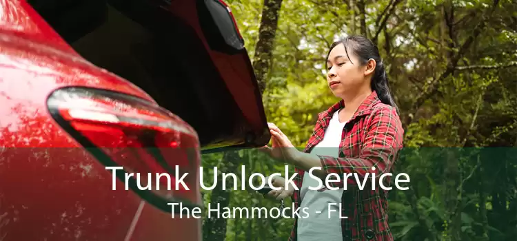 Trunk Unlock Service The Hammocks - FL