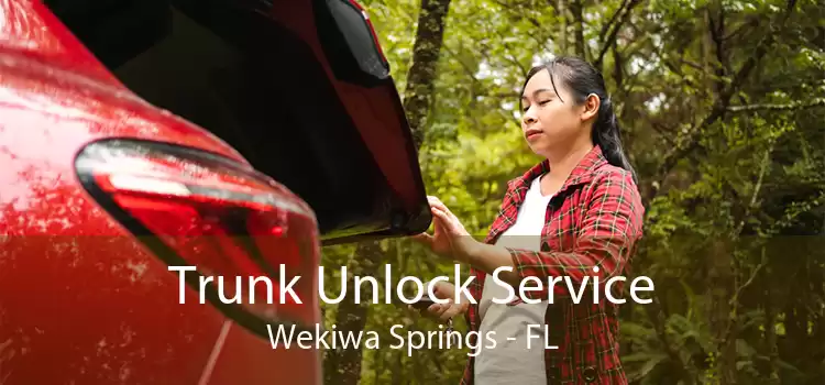Trunk Unlock Service Wekiwa Springs - FL