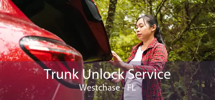 Trunk Unlock Service Westchase - FL