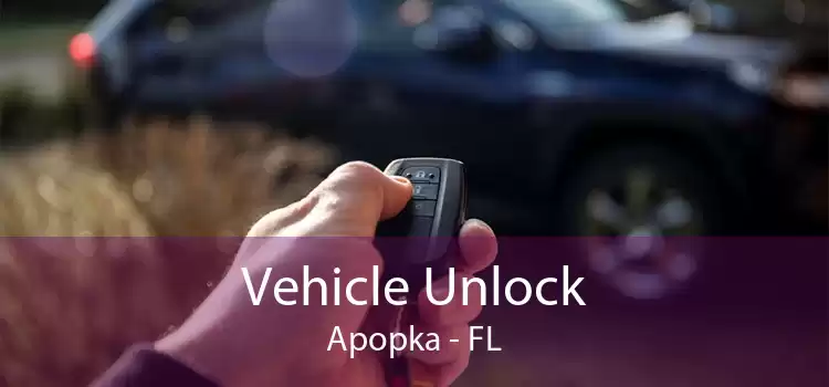 Vehicle Unlock Apopka - FL