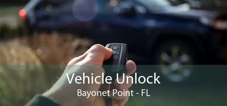 Vehicle Unlock Bayonet Point - FL