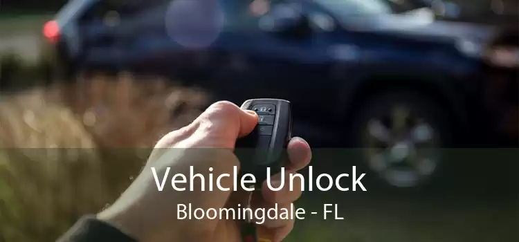 Vehicle Unlock Bloomingdale - FL