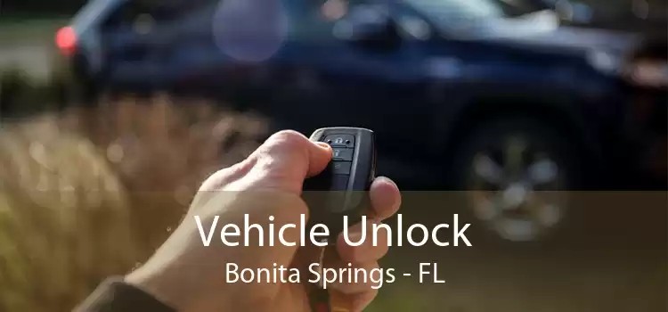 Vehicle Unlock Bonita Springs - FL