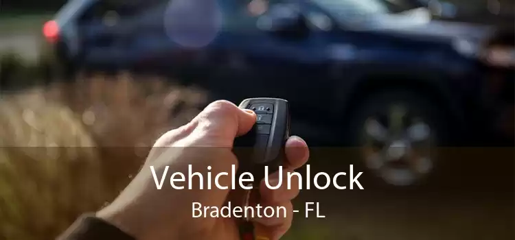 Vehicle Unlock Bradenton - FL