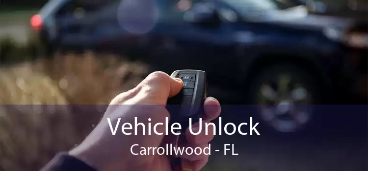 Vehicle Unlock Carrollwood - FL