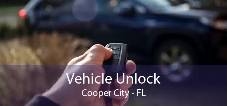Vehicle Unlock Cooper City - FL