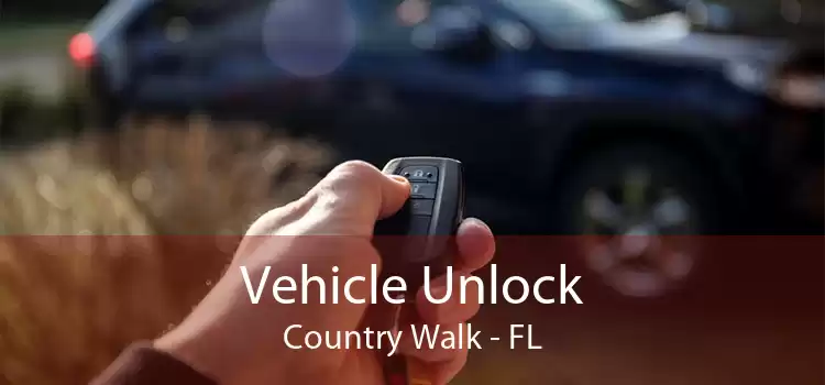 Vehicle Unlock Country Walk - FL