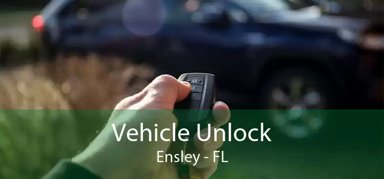 Vehicle Unlock Ensley - FL