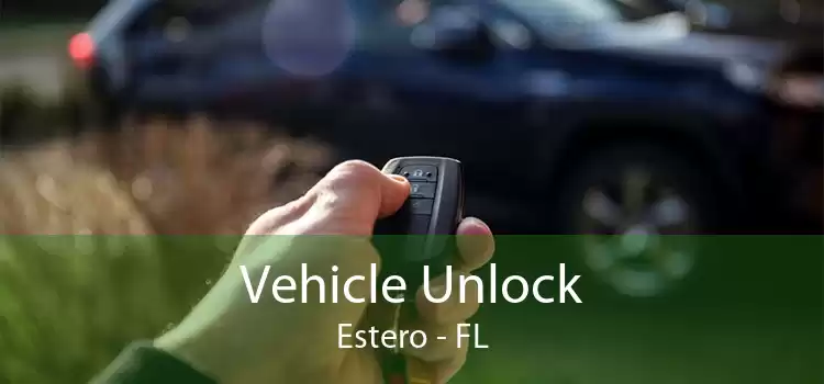 Vehicle Unlock Estero - FL