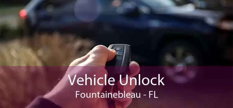 Vehicle Unlock Fountainebleau - FL