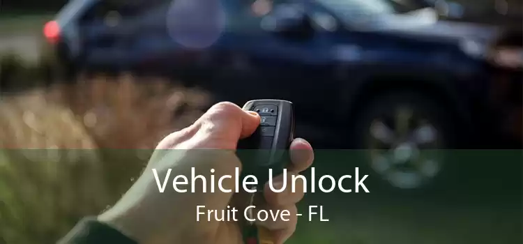 Vehicle Unlock Fruit Cove - FL