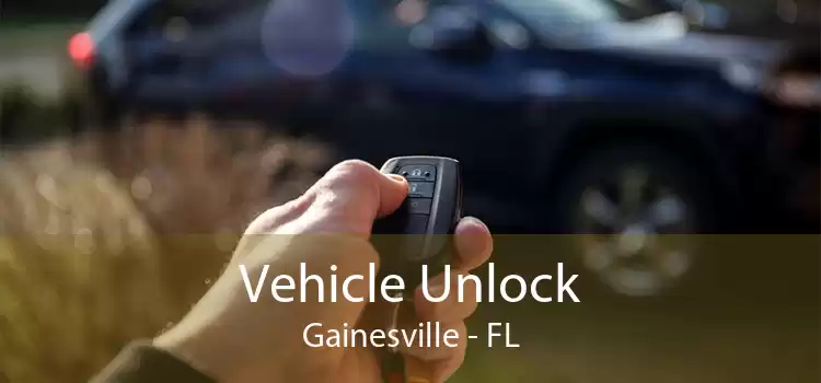 Vehicle Unlock Gainesville - FL