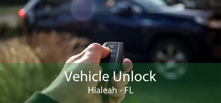 Vehicle Unlock Hialeah - FL