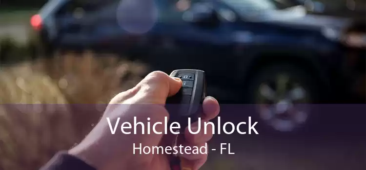 Vehicle Unlock Homestead - FL