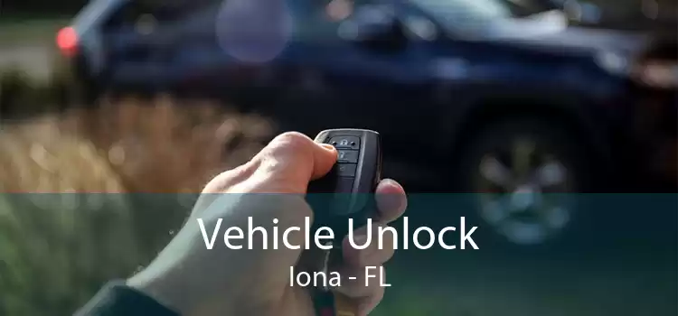 Vehicle Unlock Iona - FL