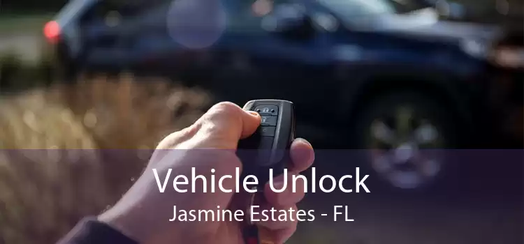 Vehicle Unlock Jasmine Estates - FL